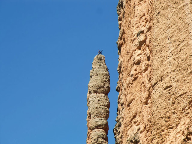 14938251_241390782943240_1329359745100382138_n