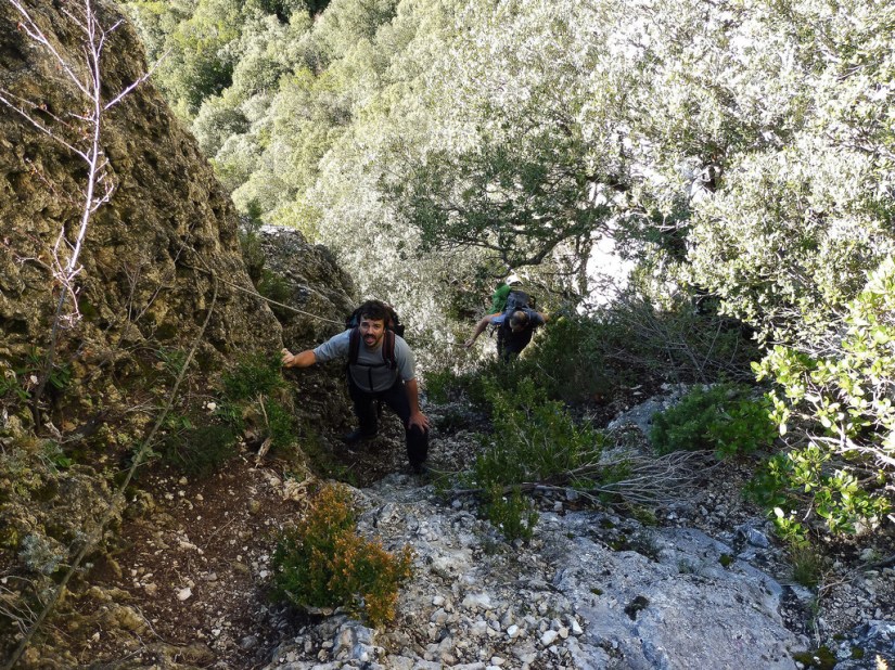 22846973644_8459f71a97_b