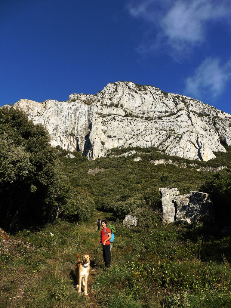 23107401829_c640d2d6bf_b