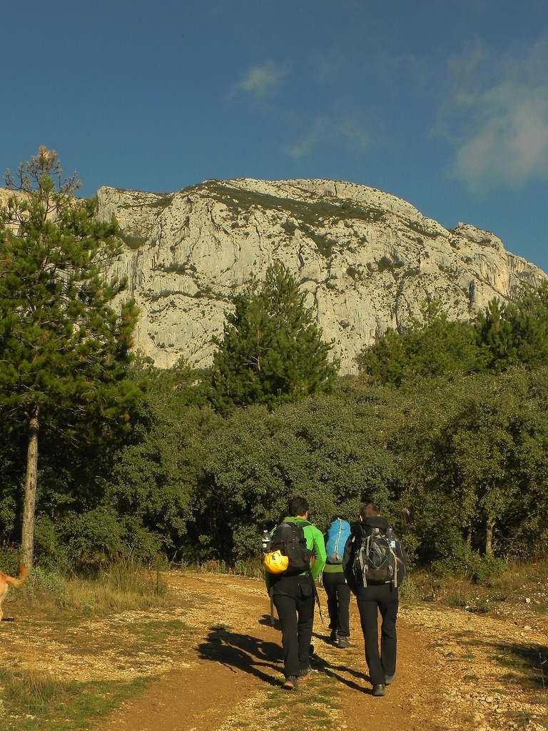 23107420749_8ab181429d_b