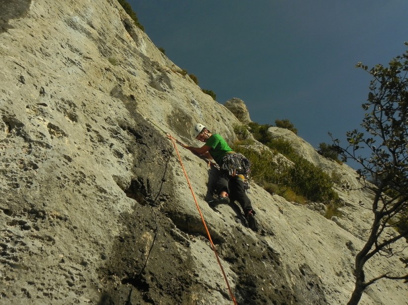 23366731712_405dc08af9_b