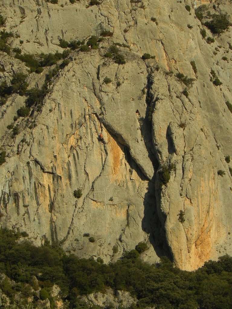 23366816702_a3d0a950c4_b