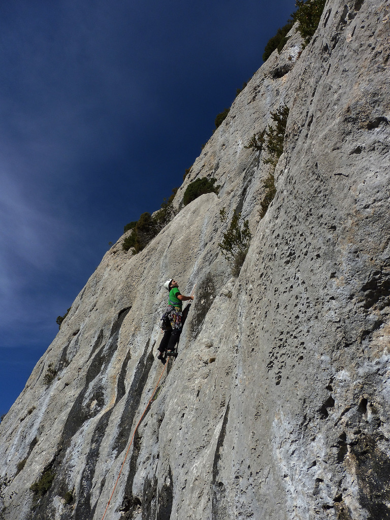 23392731981_07e8e5c98d_b