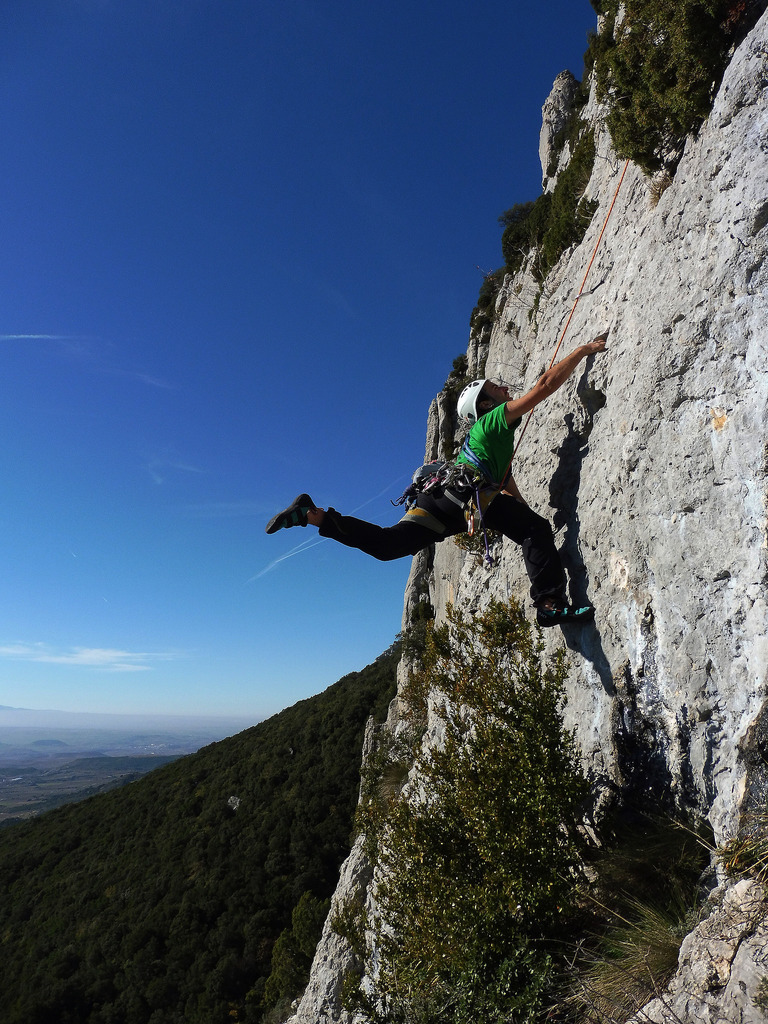 23475155765_26b9c787db_b