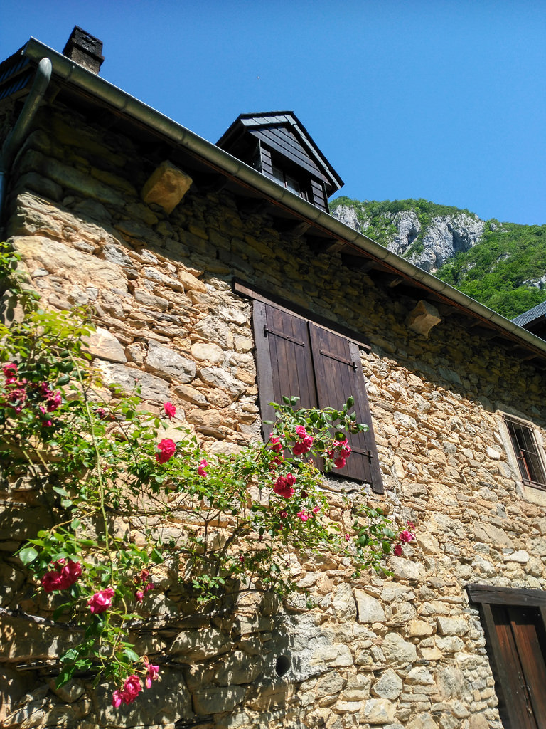 34557912383_0dc62c290b_b