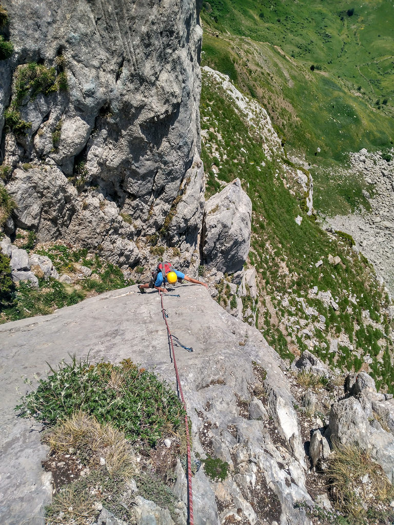 35003669780_a5e40c792e_b (1)