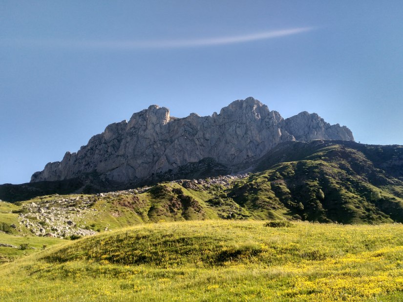 35223014202_16581b236a_b