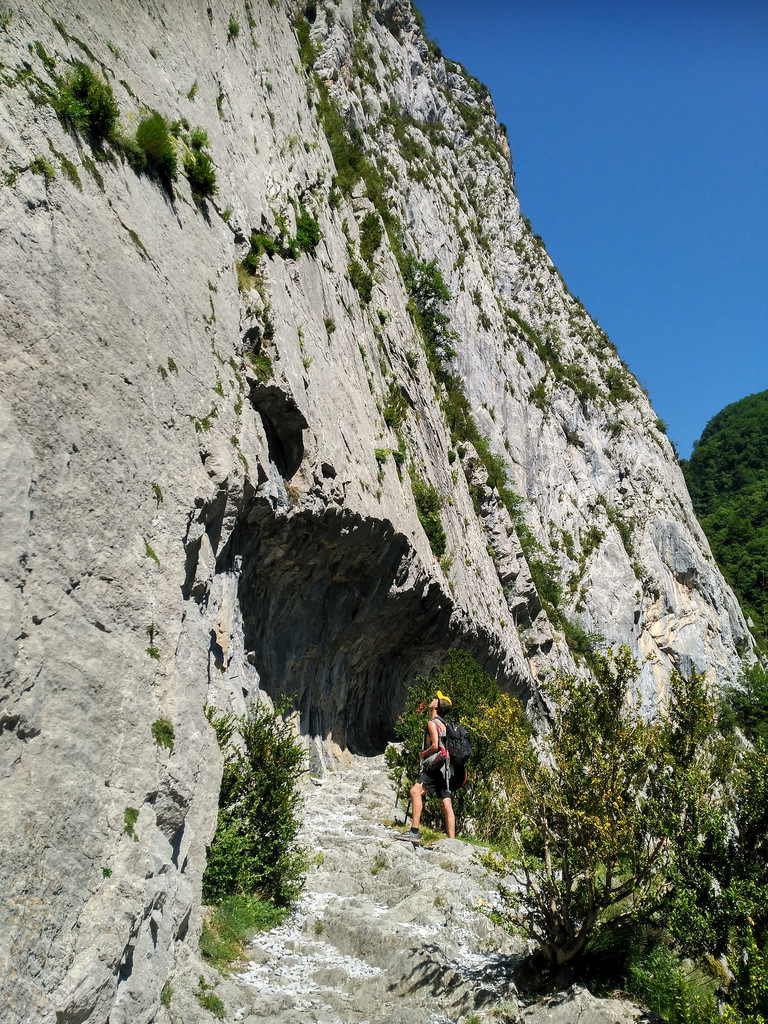 35328177076_2d0edfed48_b