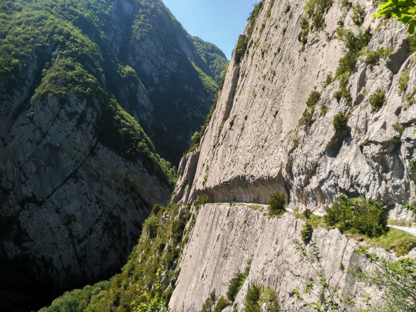 35367418285_fb3bfb6036_b