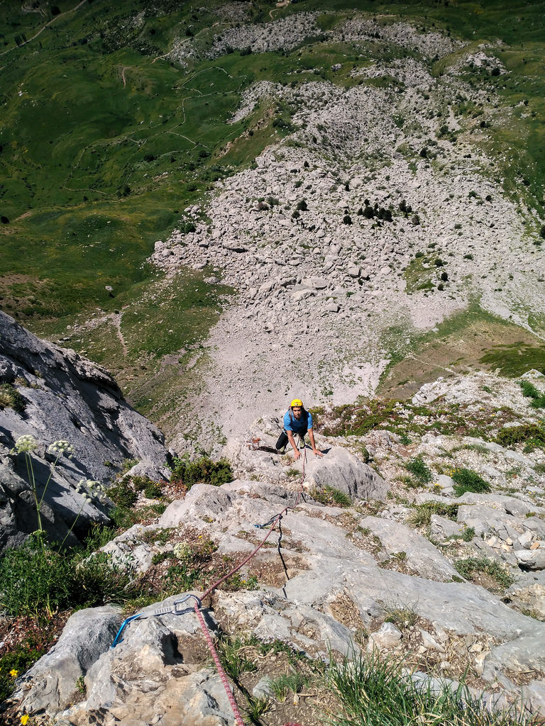 35390091925_0625281cae_b