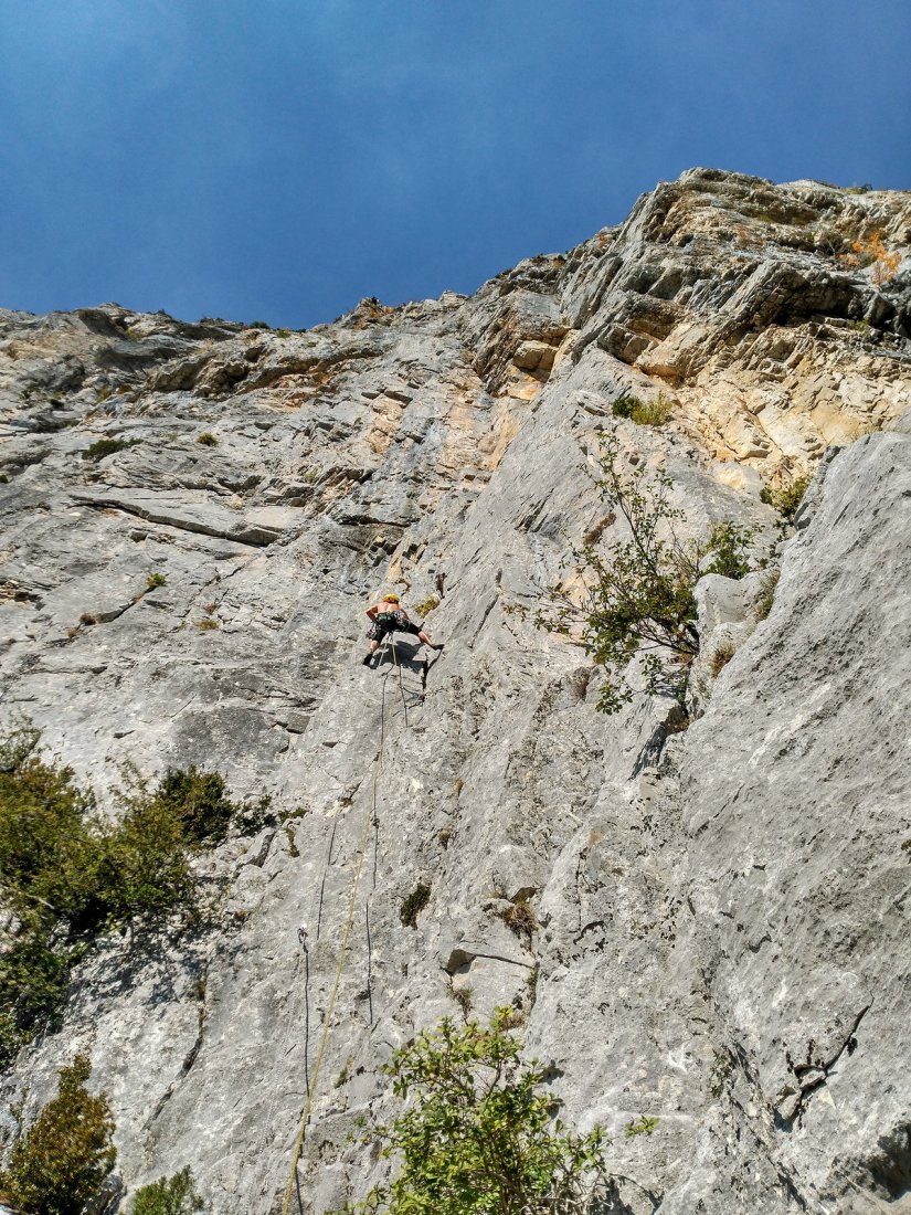 36583579144_d39e9a4f7b_h