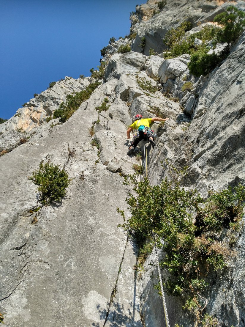 36639983373_f50c63c4ac_h