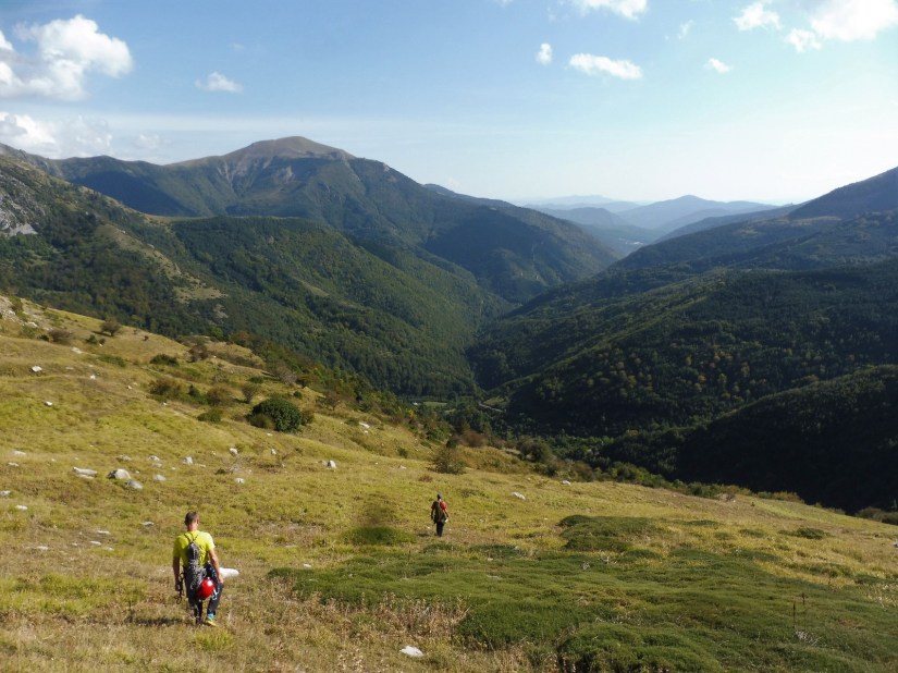 36648543953_93ba5c1135_h