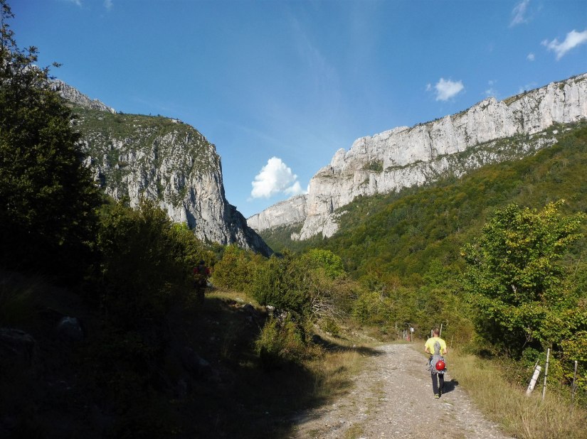 36648554753_382da20a44_h