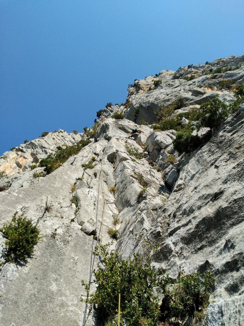 37280227172_c0f4b2bc4d_h