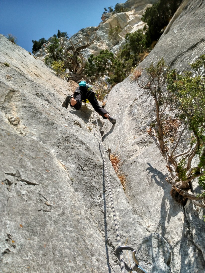 37311793001_0a918e64be_h