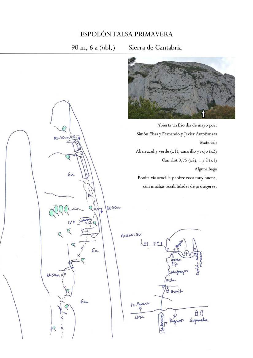 ESPOLON FALSA PRIMAVERA