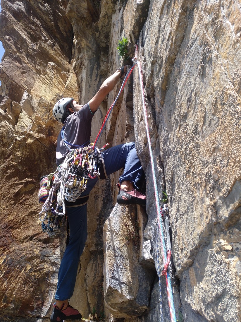 IMG_20190622_125347_578