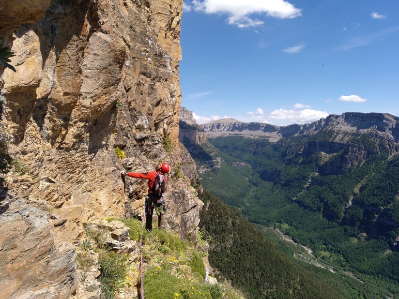 IMG_20190622_154418_663