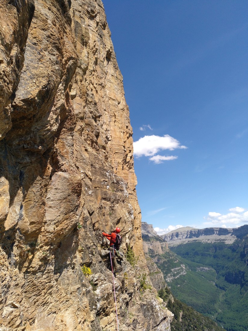 IMG_20190622_154609_285