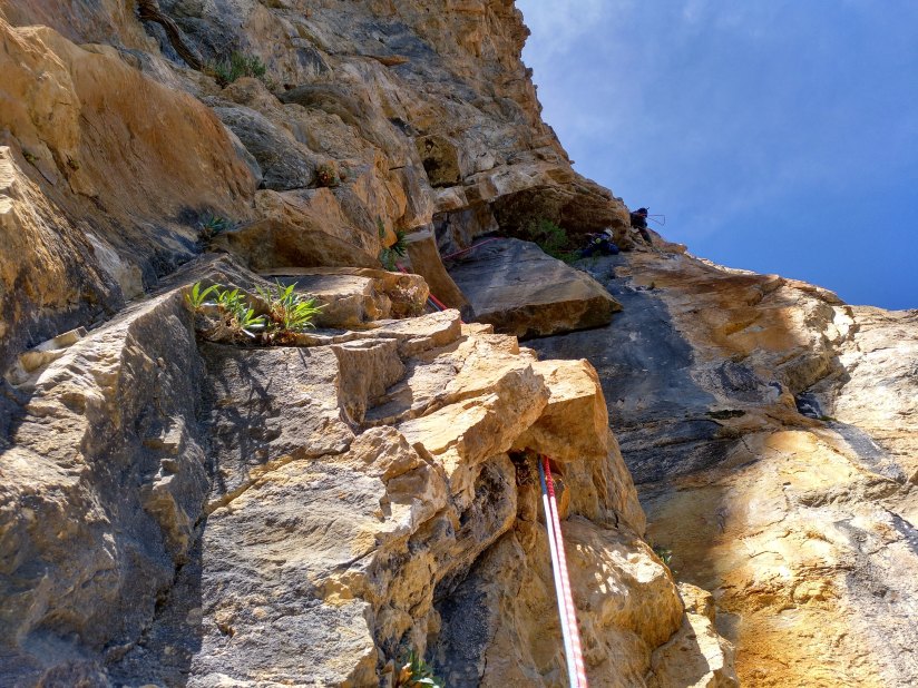 IMG_20190622_173156_786